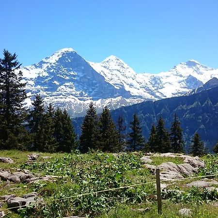 Berghaus Hintisberg Hotel Lütschenthal Zewnętrze zdjęcie
